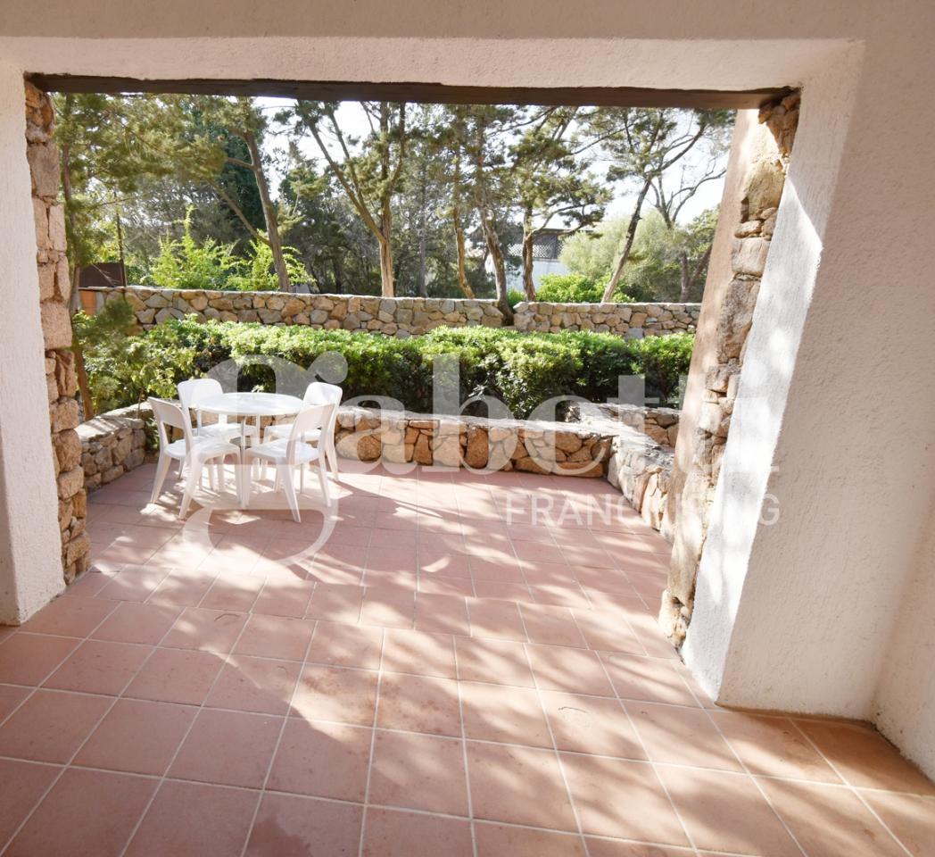 immagine annuncio 11 di 14