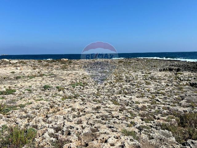 Terreno agricolo, Monopoli - Foto 1