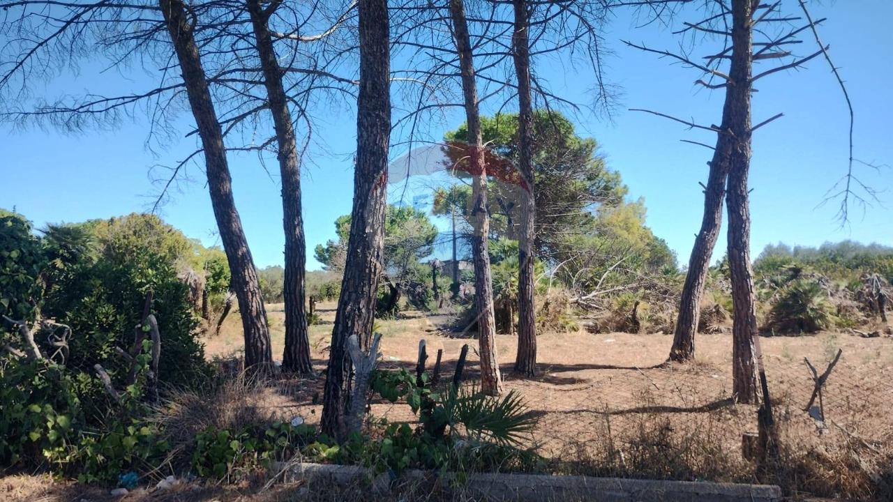 immagine annuncio 3 di 9