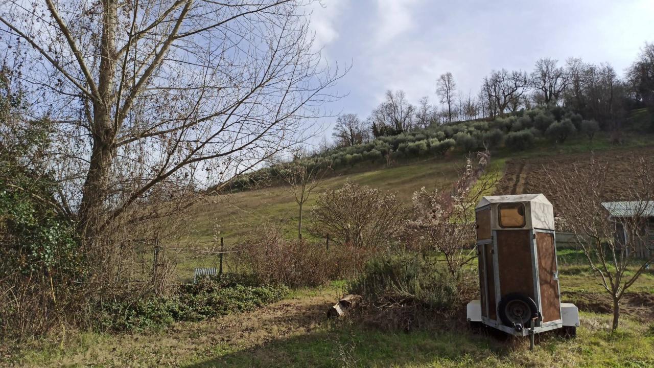 Terreno agricolo in vendita a Macerata