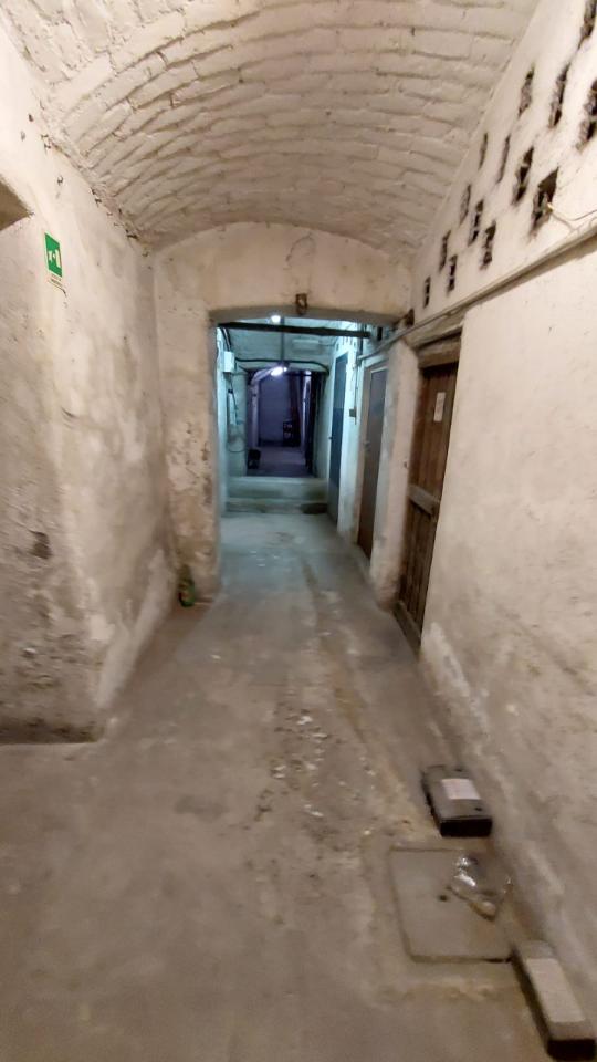 immagine annuncio 6 di 11