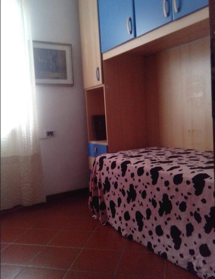 immagine annuncio 8 di 12