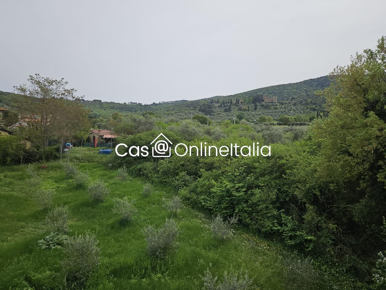 immagine annuncio 6 di 13