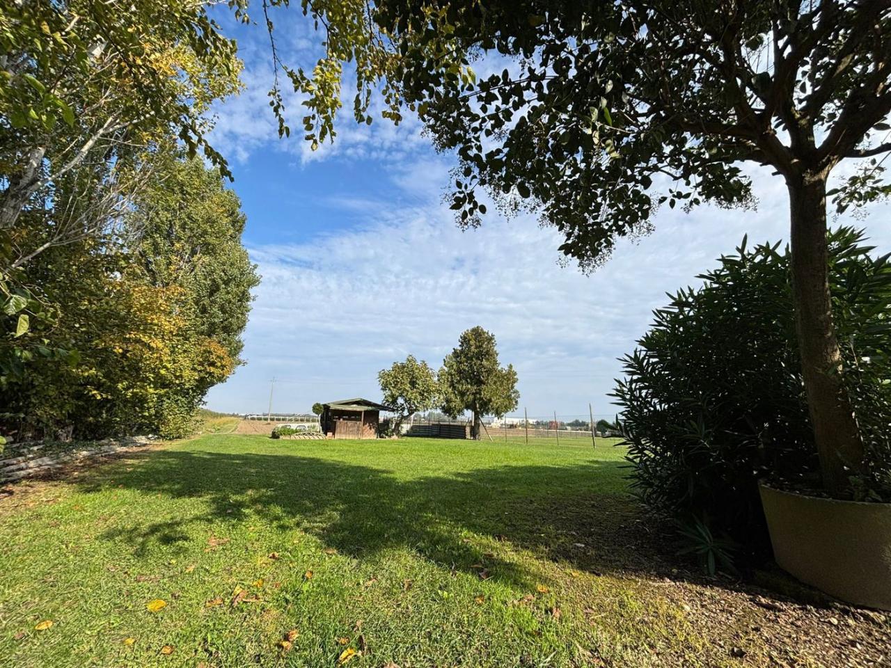 immagine annuncio 6 di 8