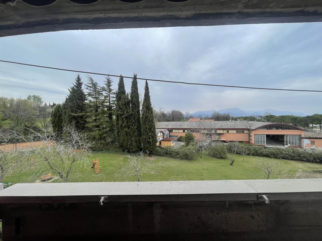 immagine annuncio 2 di 12
