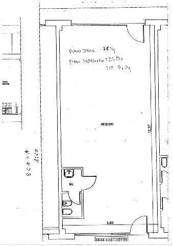 insertion image
