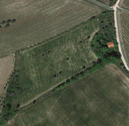 insertion image