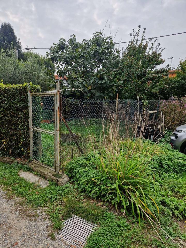 immagine annuncio 2 di 6