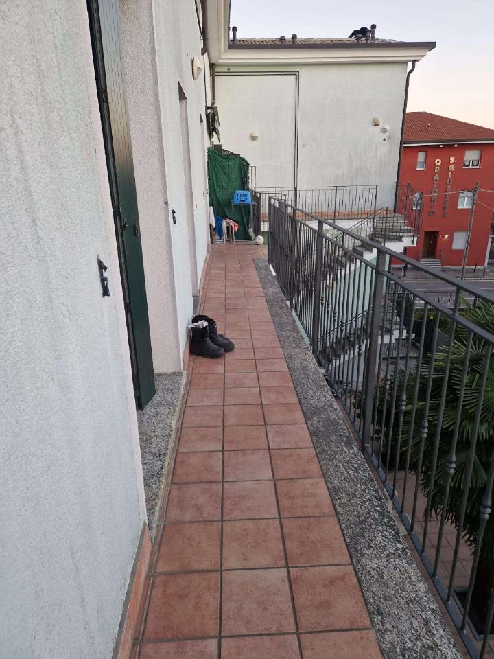 immagine annuncio 4 di 14