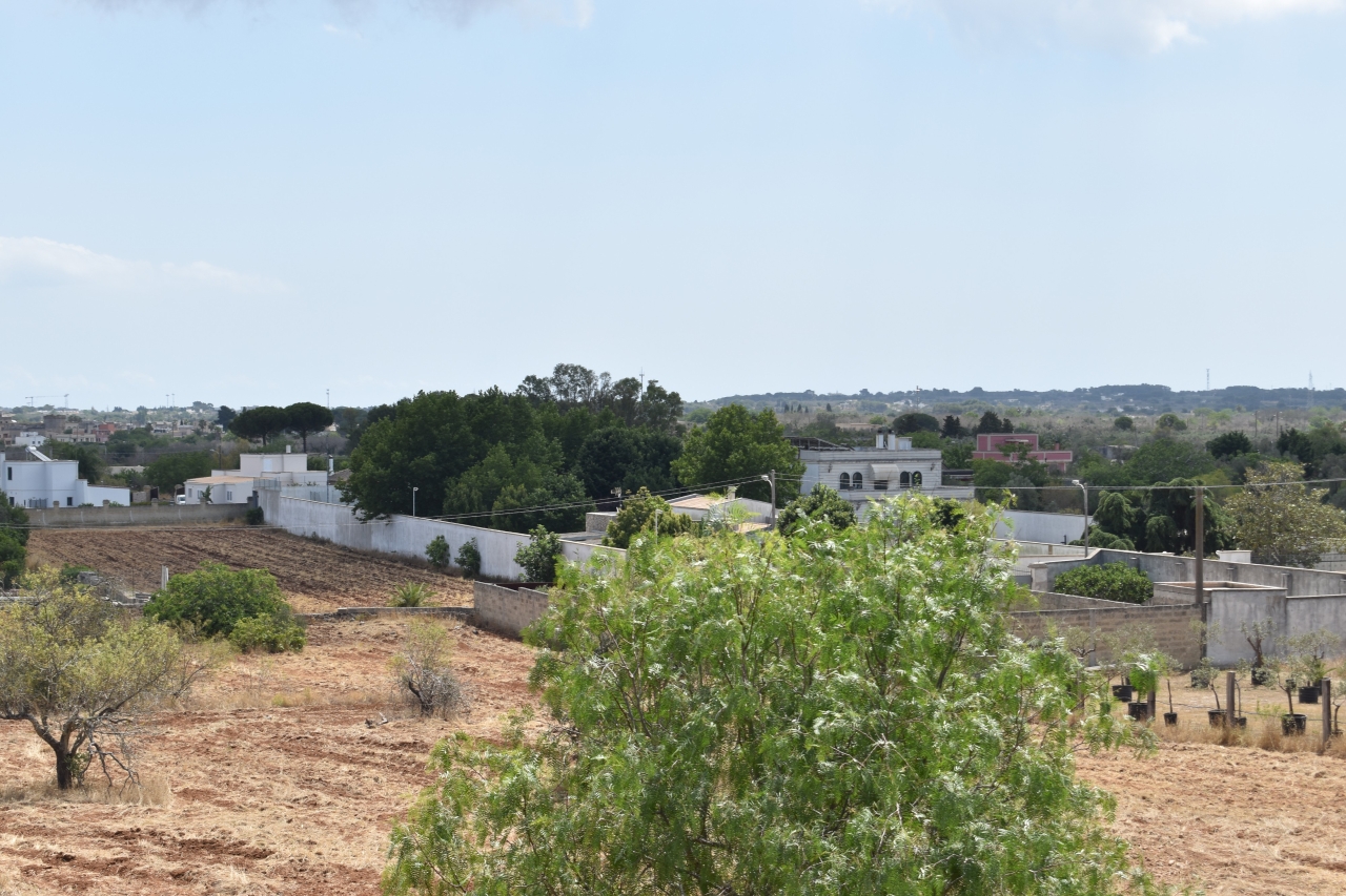 immagine annuncio 2 di 9