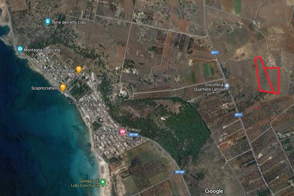 immagine annuncio 1 di 6