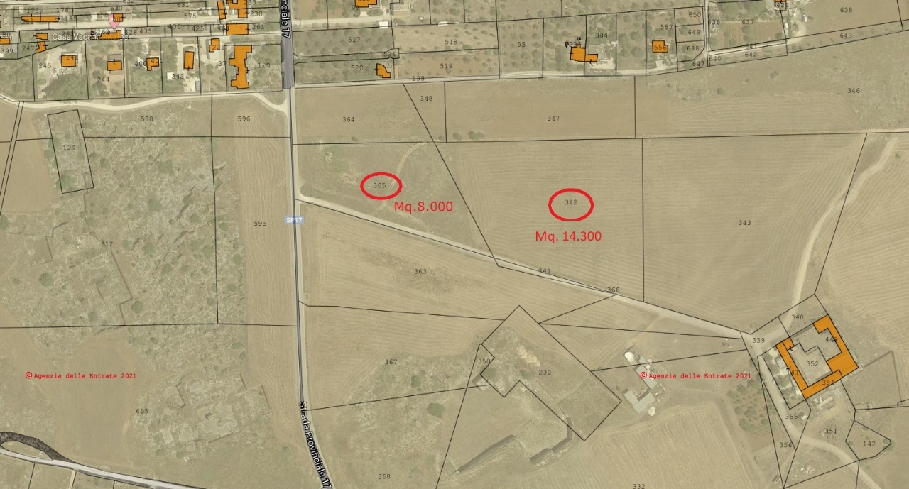 immagine annuncio 5 di 6