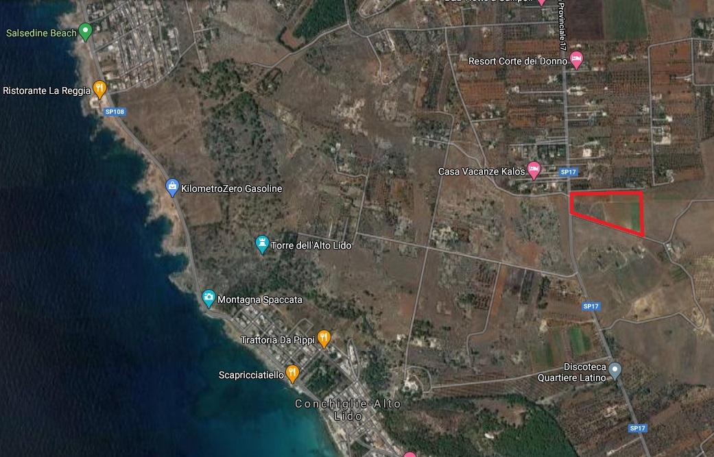 immagine annuncio 2 di 6