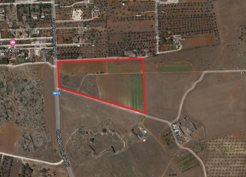 immagine annuncio 1 di 6