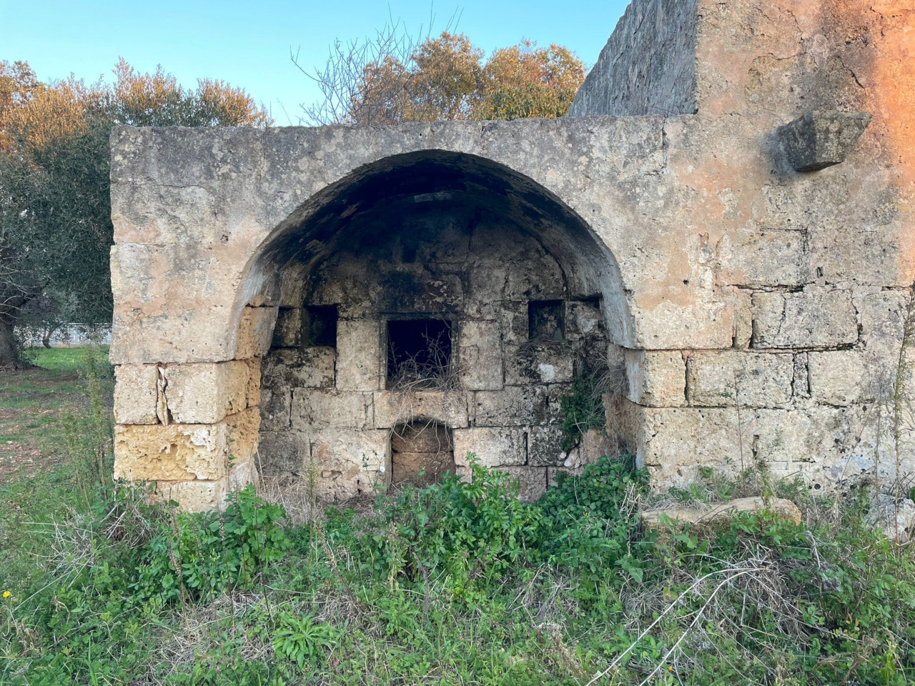 immagine annuncio 13 di 15