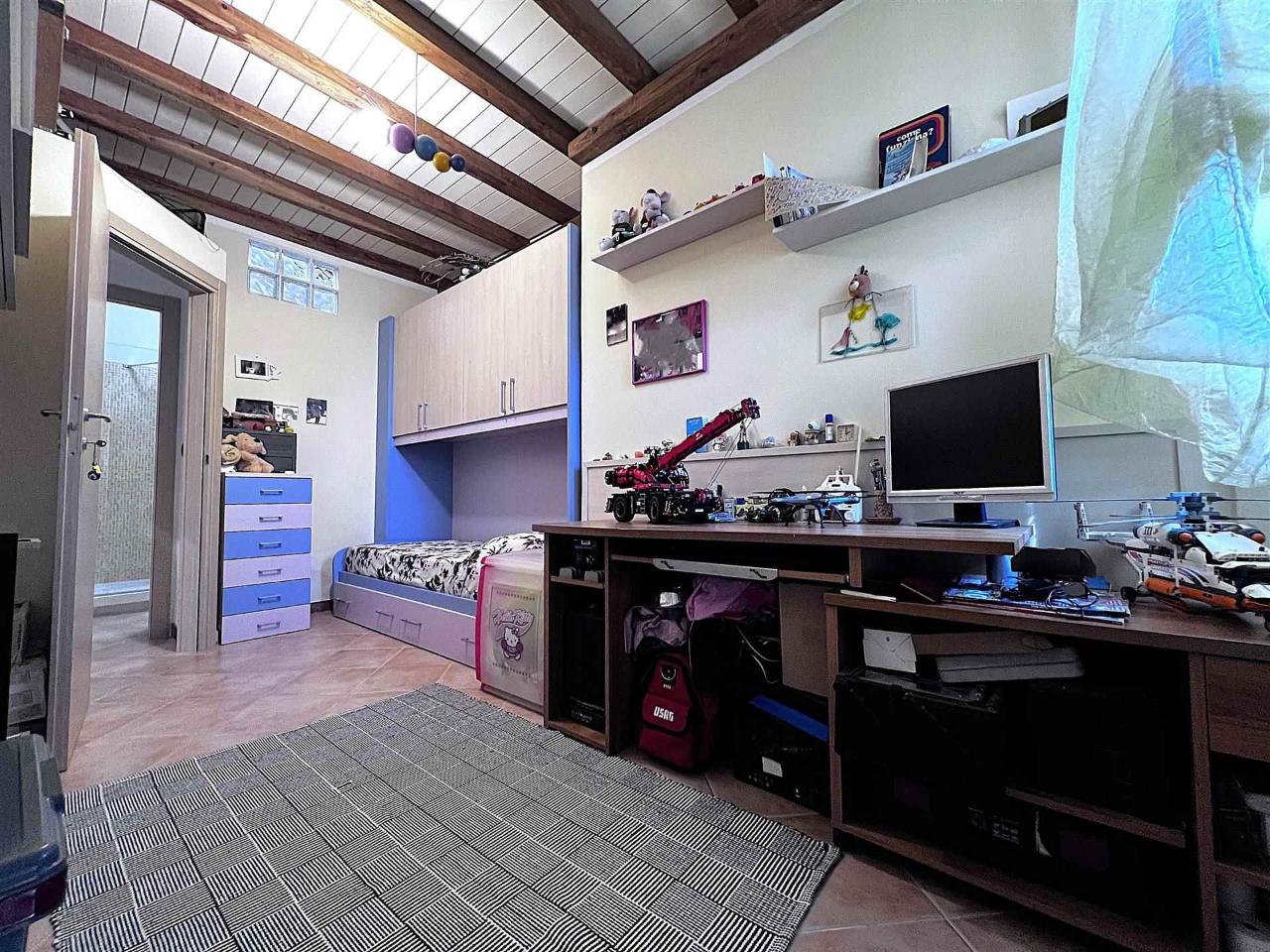 immagine annuncio 9 di 15