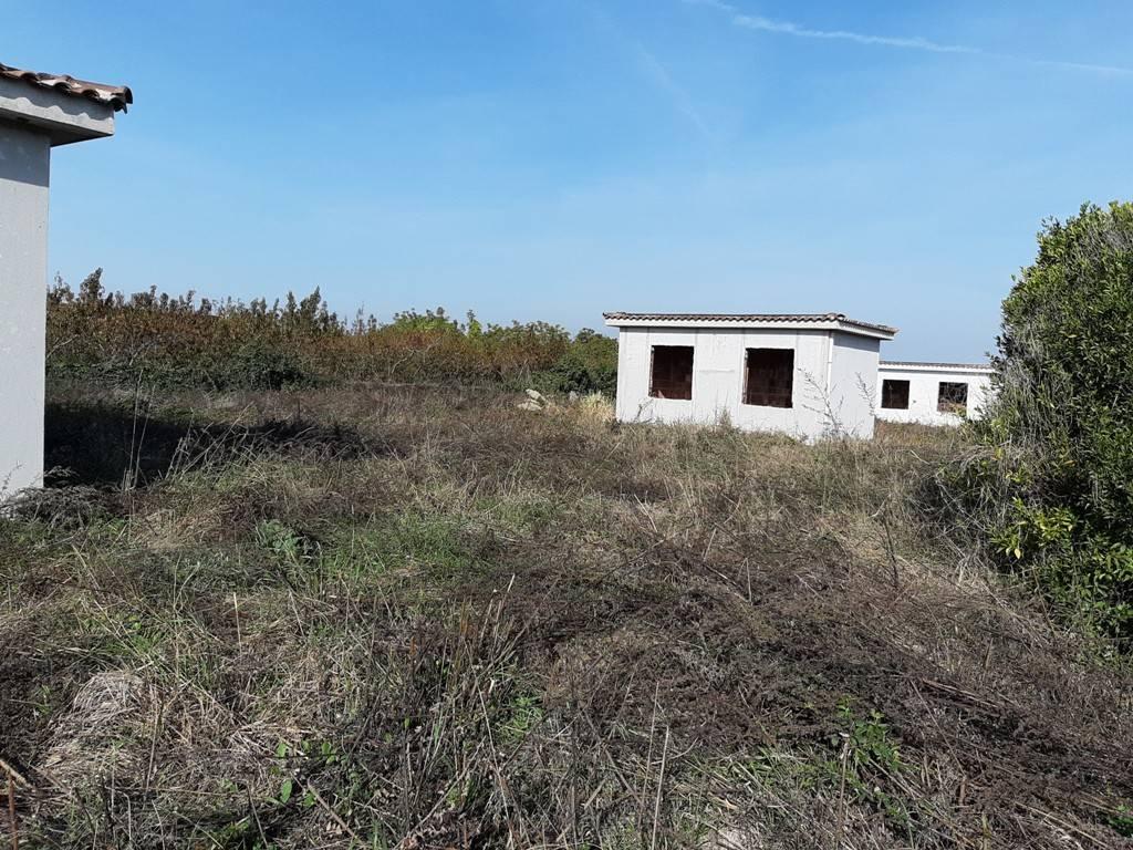 immagine annuncio 3 di 14