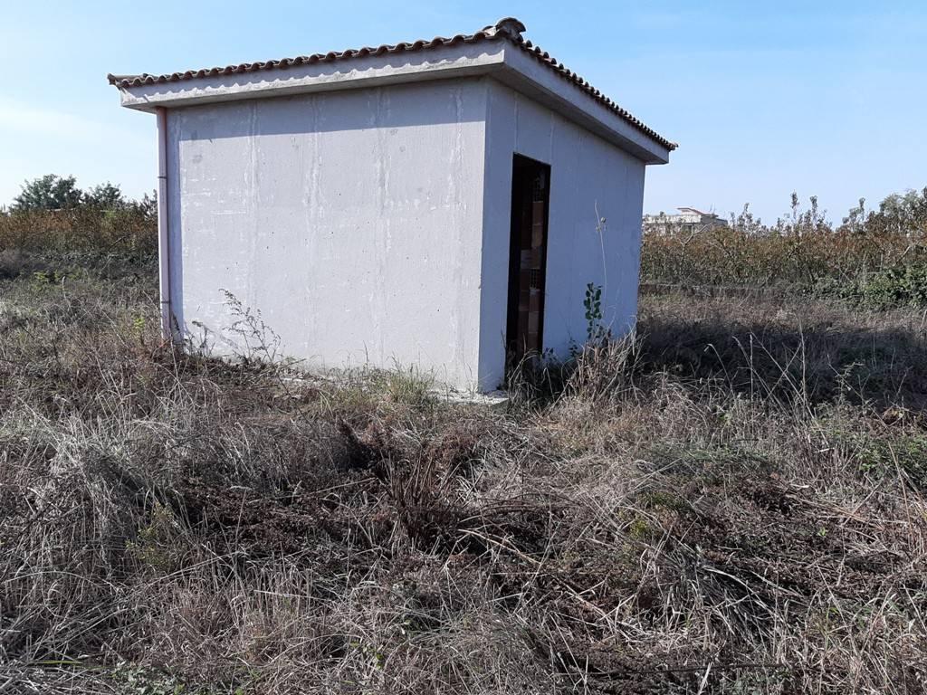 immagine annuncio 4 di 14