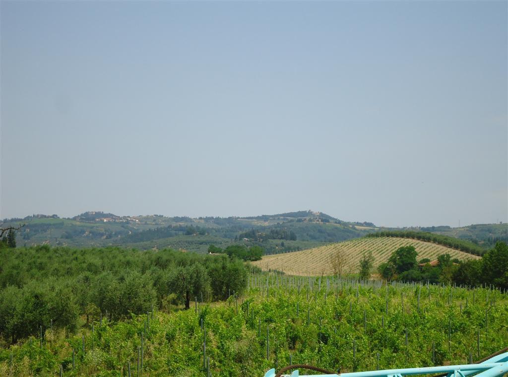 Azienda agricola in , Certaldo - Foto 1