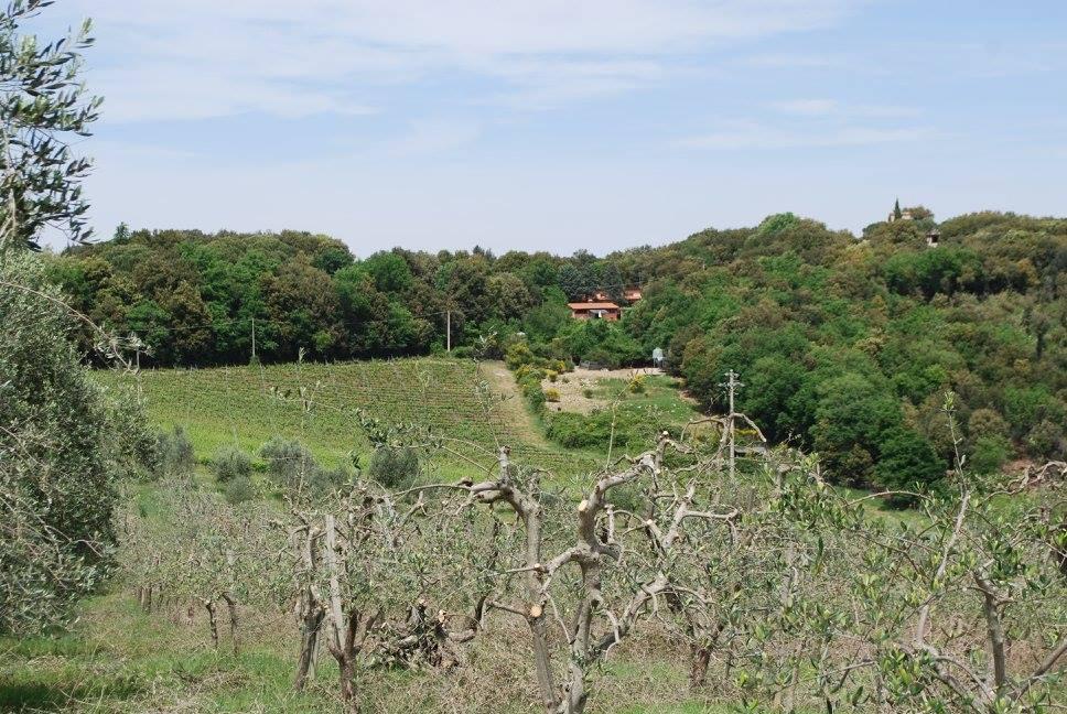 Azienda agricola in , Gambassi Terme - Foto 1