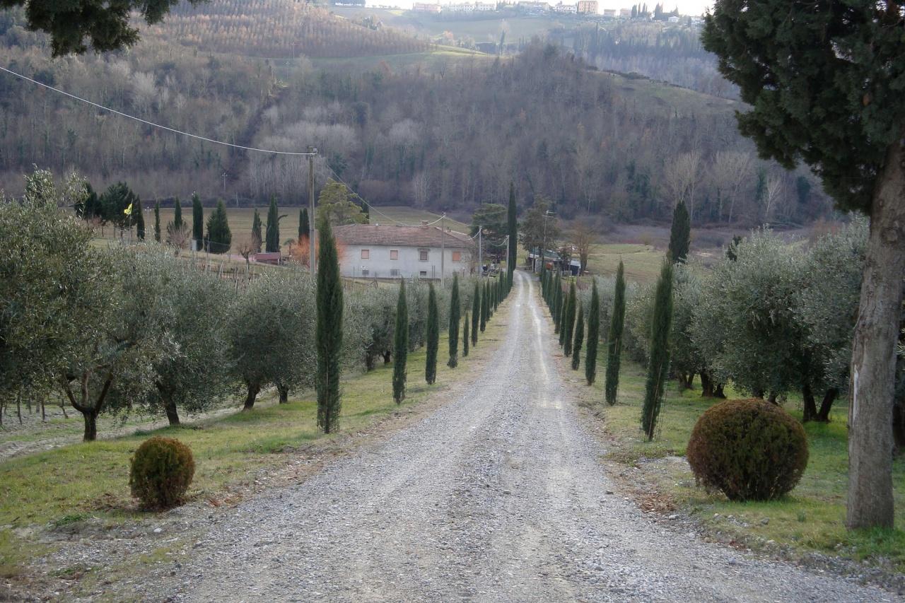 Azienda agricola in , Certaldo - Foto 1
