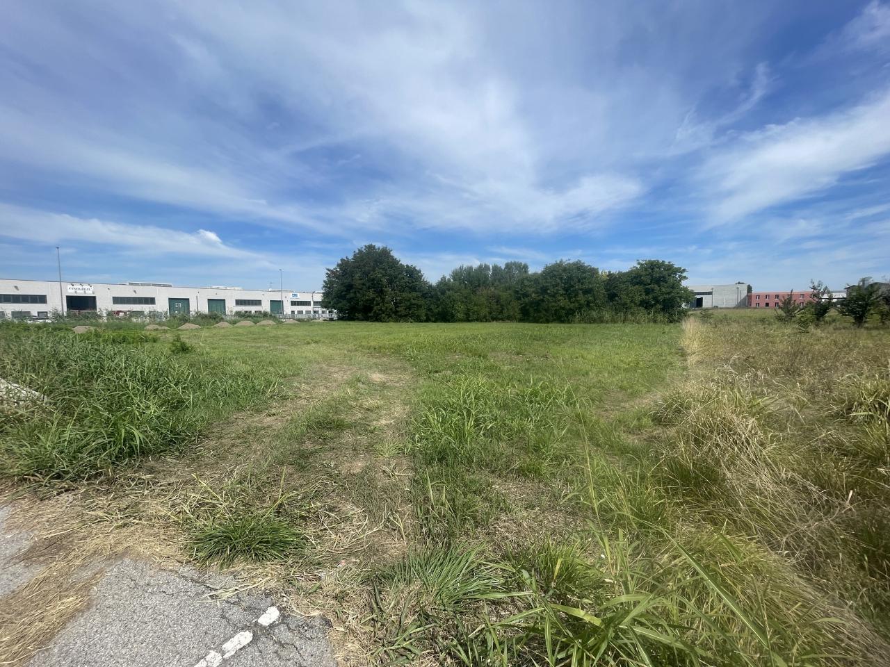 immagine annuncio 5 di 7