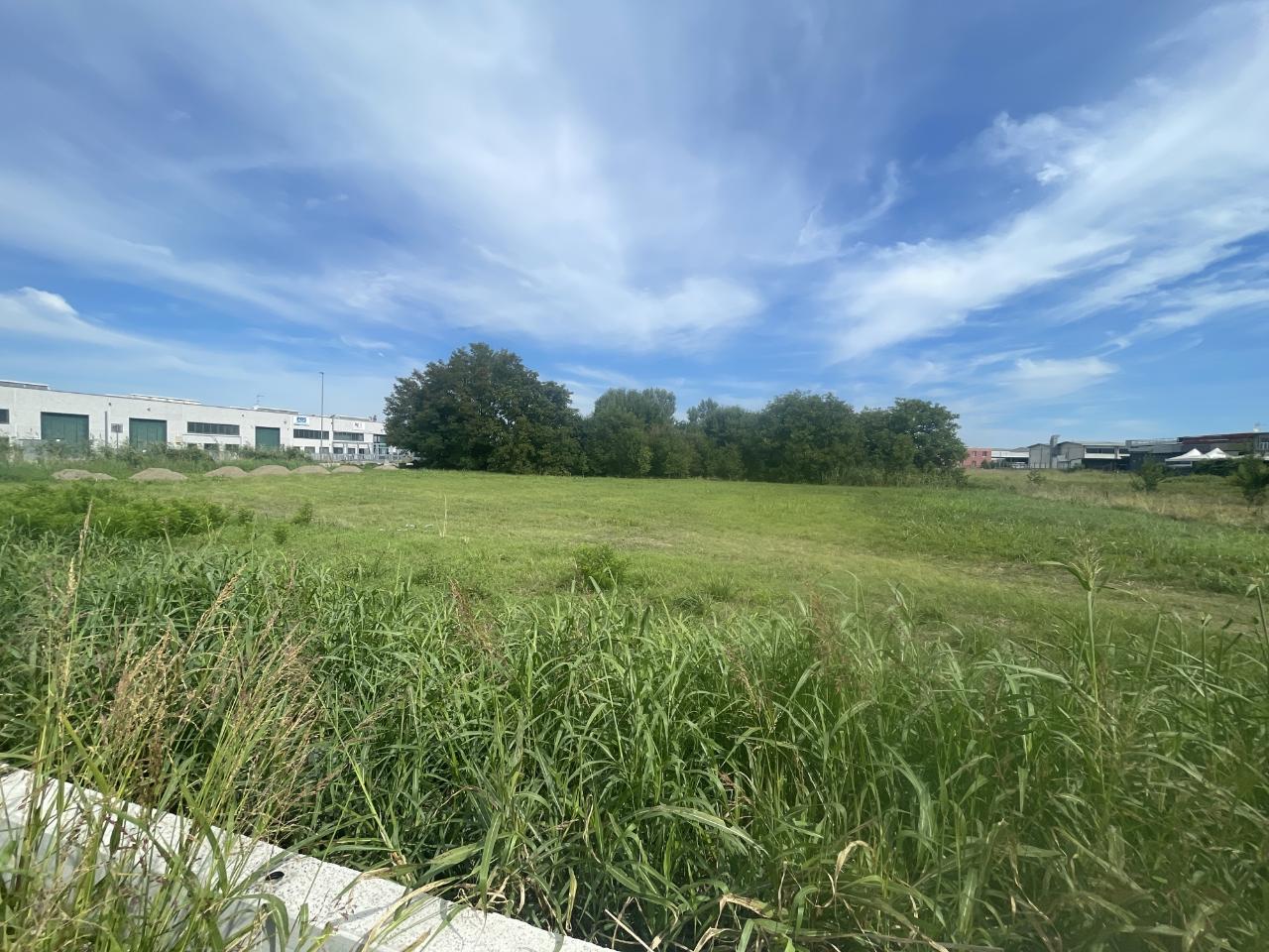 immagine annuncio 4 di 7