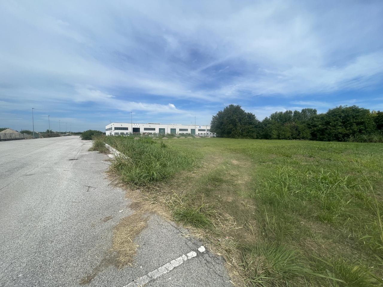 immagine annuncio 6 di 7