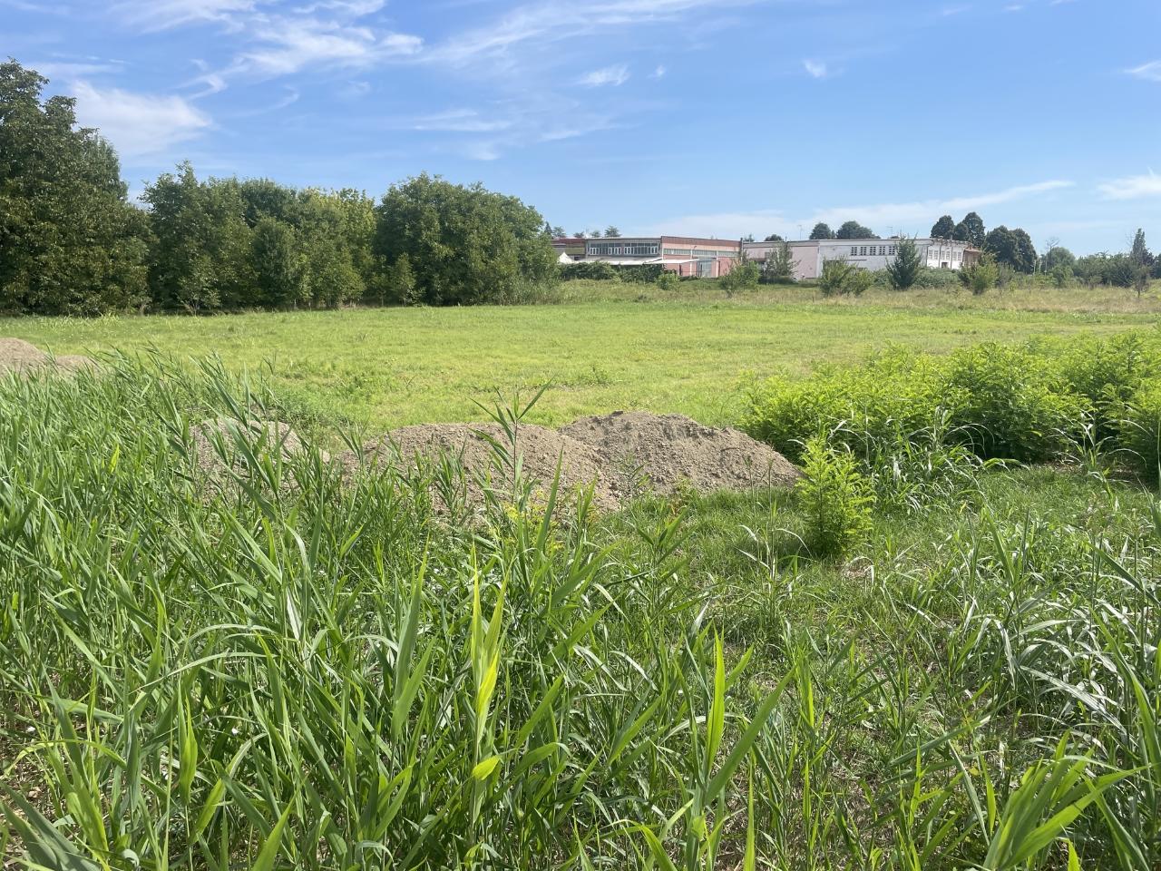 immagine annuncio 2 di 7