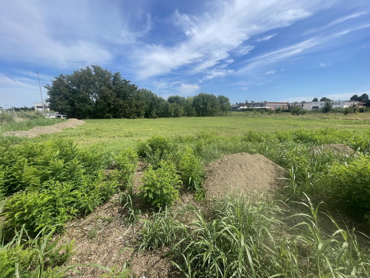 immagine annuncio 3 di 7