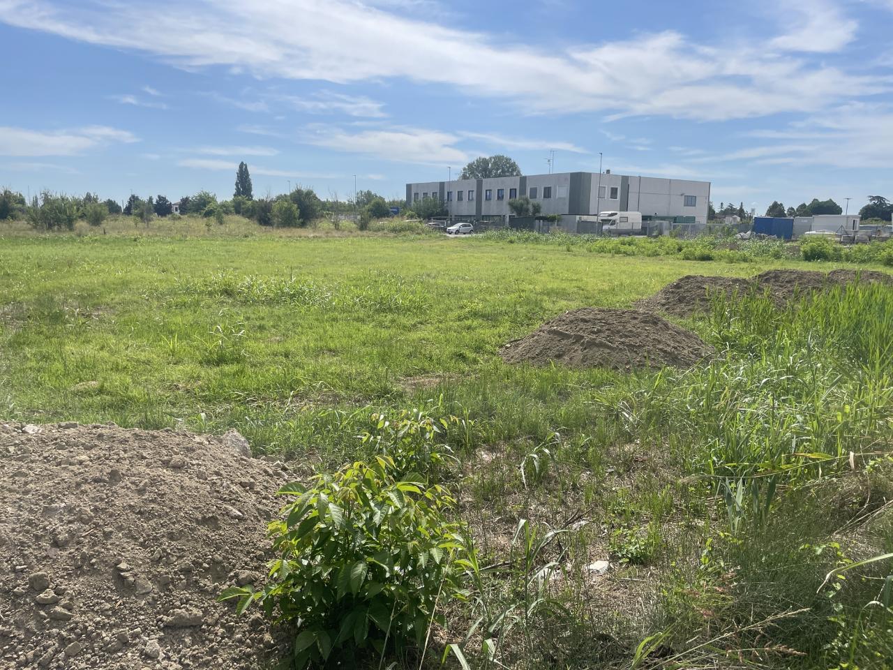 immagine annuncio 1 di 7