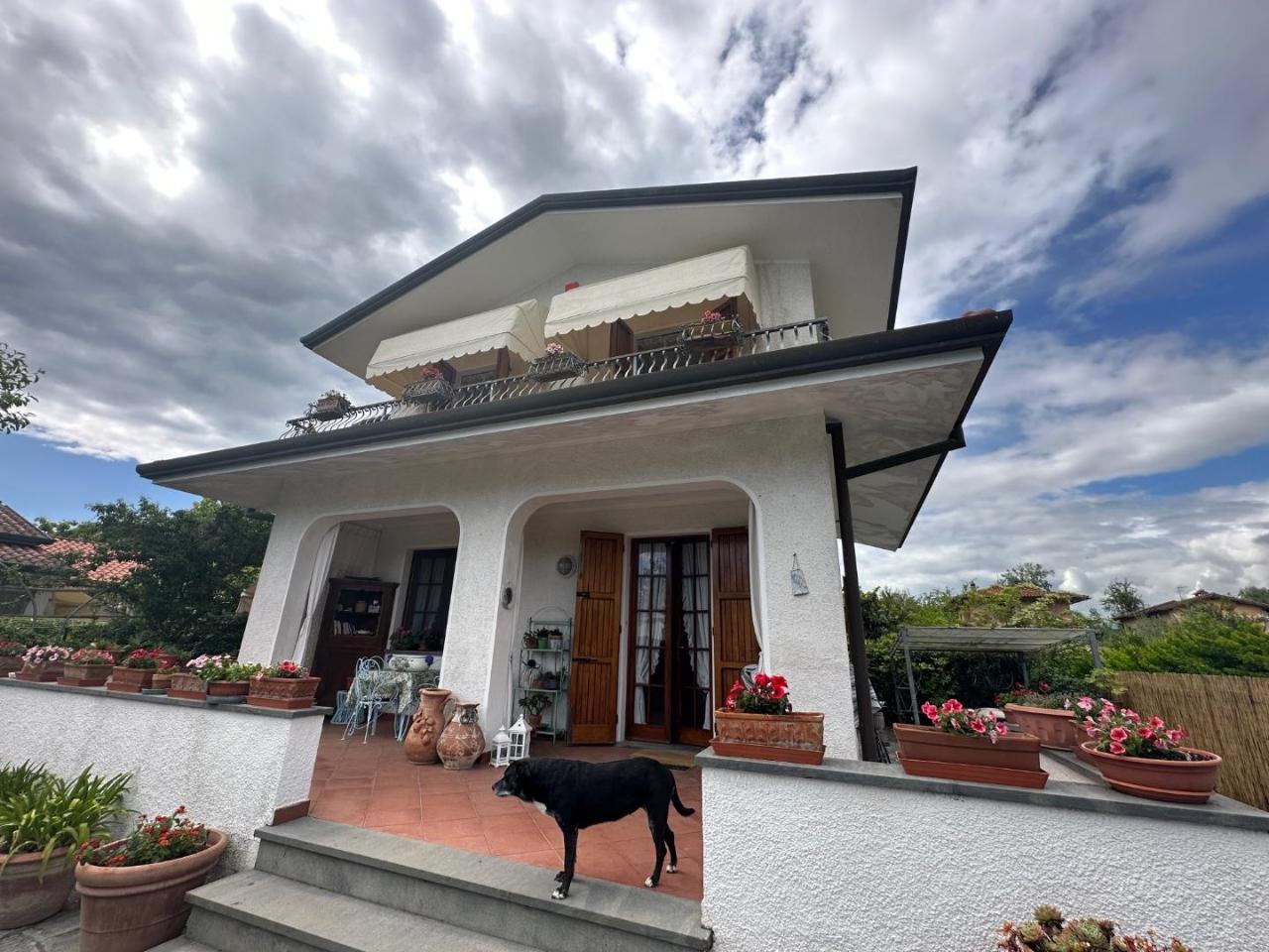 Casa indipendente in affitto a Forte Dei Marmi