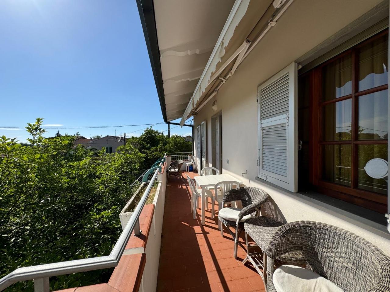 immagine annuncio 11 di 12