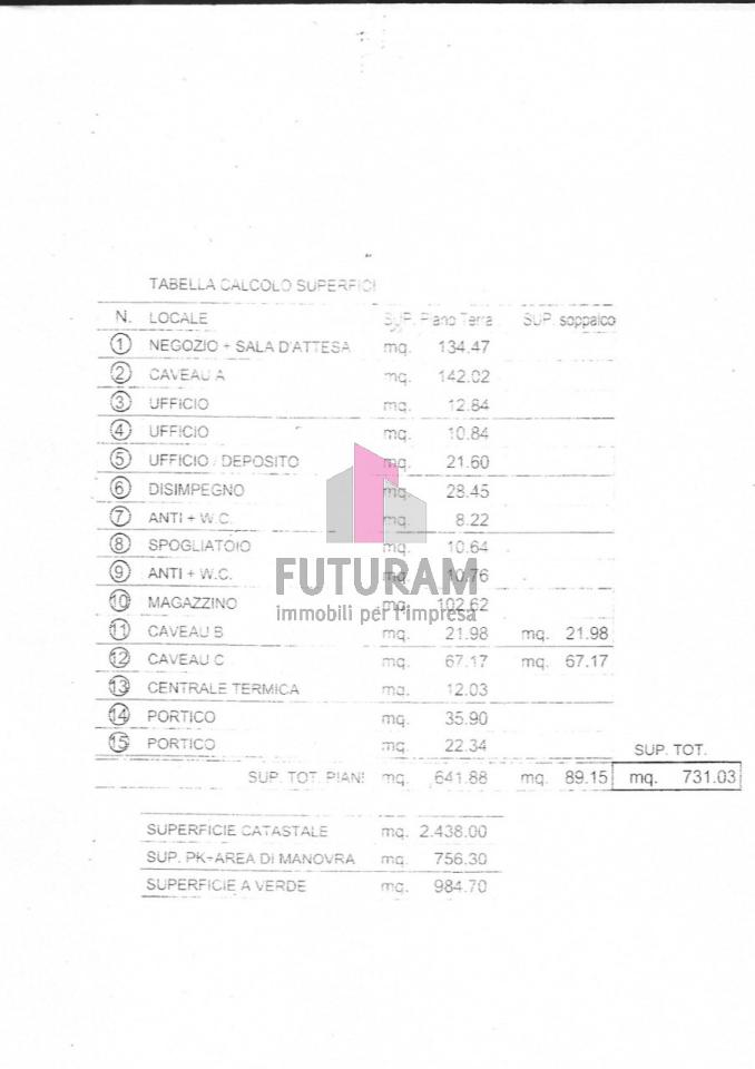 Capannone in Via Dante, Torri Di Quartesolo, {3} - Planimetria 1