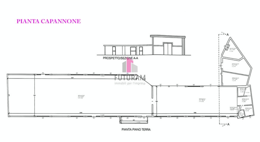 Capannone in Via Roma, Campodoro, {3} - Planimetria 1