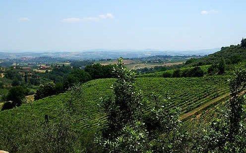 Azienda agricola in , Montepulciano - Foto 1