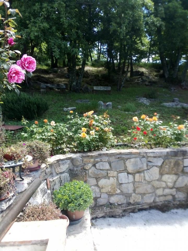 Azienda agricola in , Vejano - Foto 1