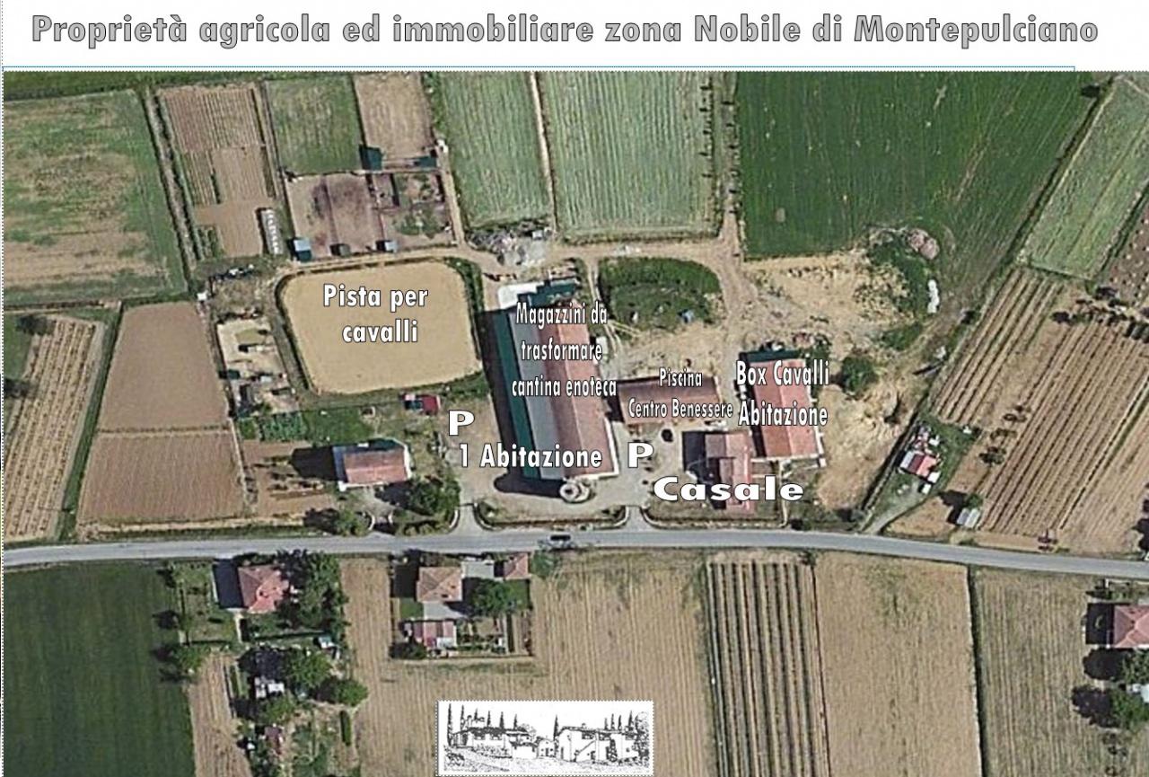 Azienda agricola in , Montepulciano, {3} - Foto 2