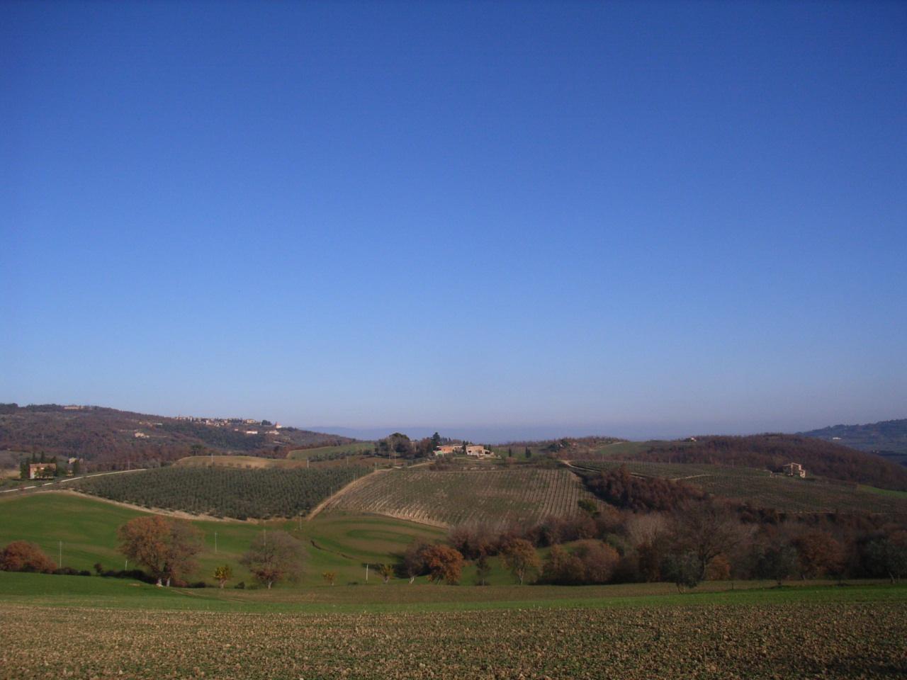 Azienda agricola in , Siena - Foto 1