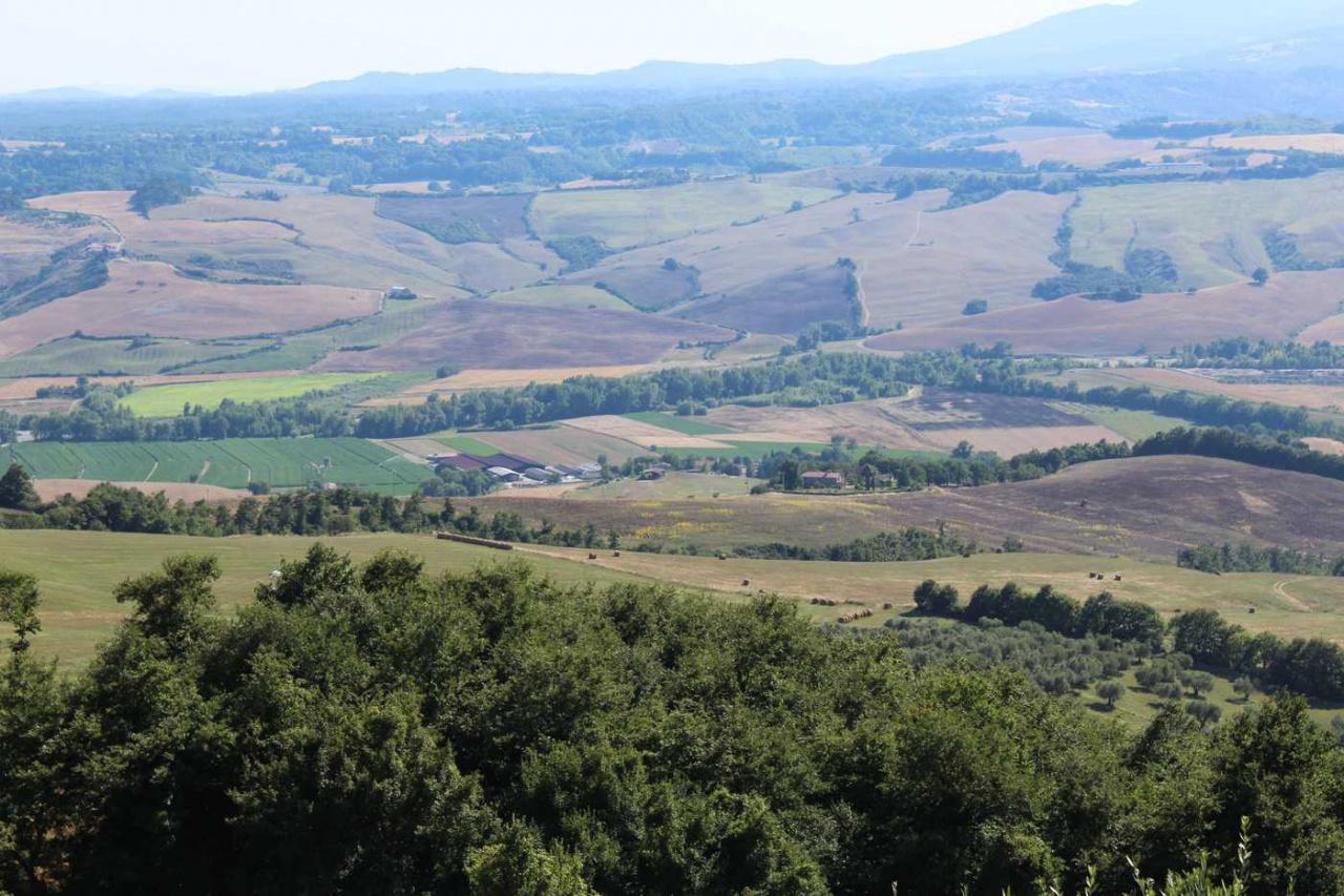 Azienda agricola in Loc Trevinano, Acquapendente, {3} - Foto 1