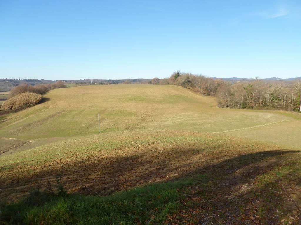 Azienda agricola in , Castelnuovo Berardenga - Foto 1