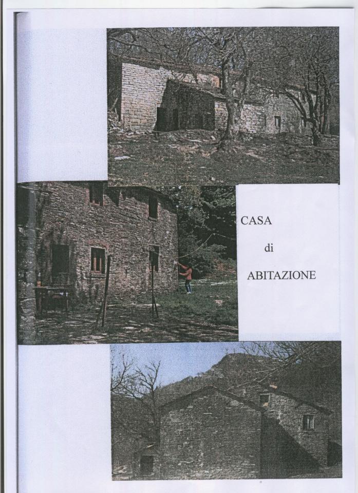 Azienda agricola in , Borgo San Lorenzo - Foto 1
