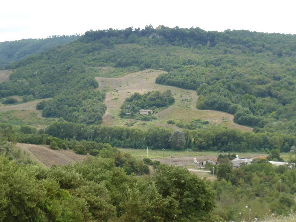 Azienda agricola in , Acquapendente - Foto 1