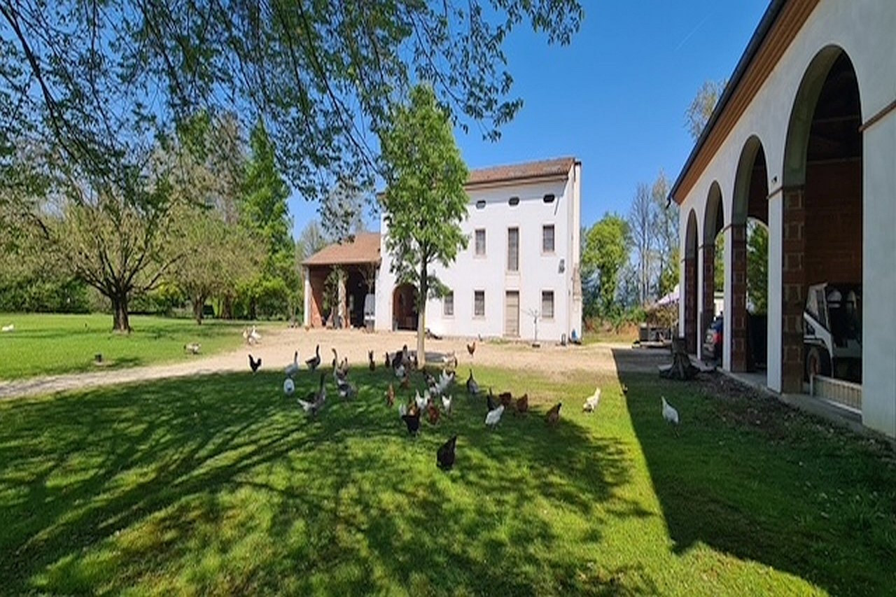 immagine annuncio 10 di 15