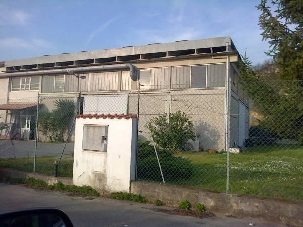 Industrial shed, Sarzana - Photo 1