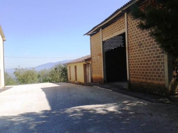 Country house or cottage in Montefalco, Montefalco - Photo 1