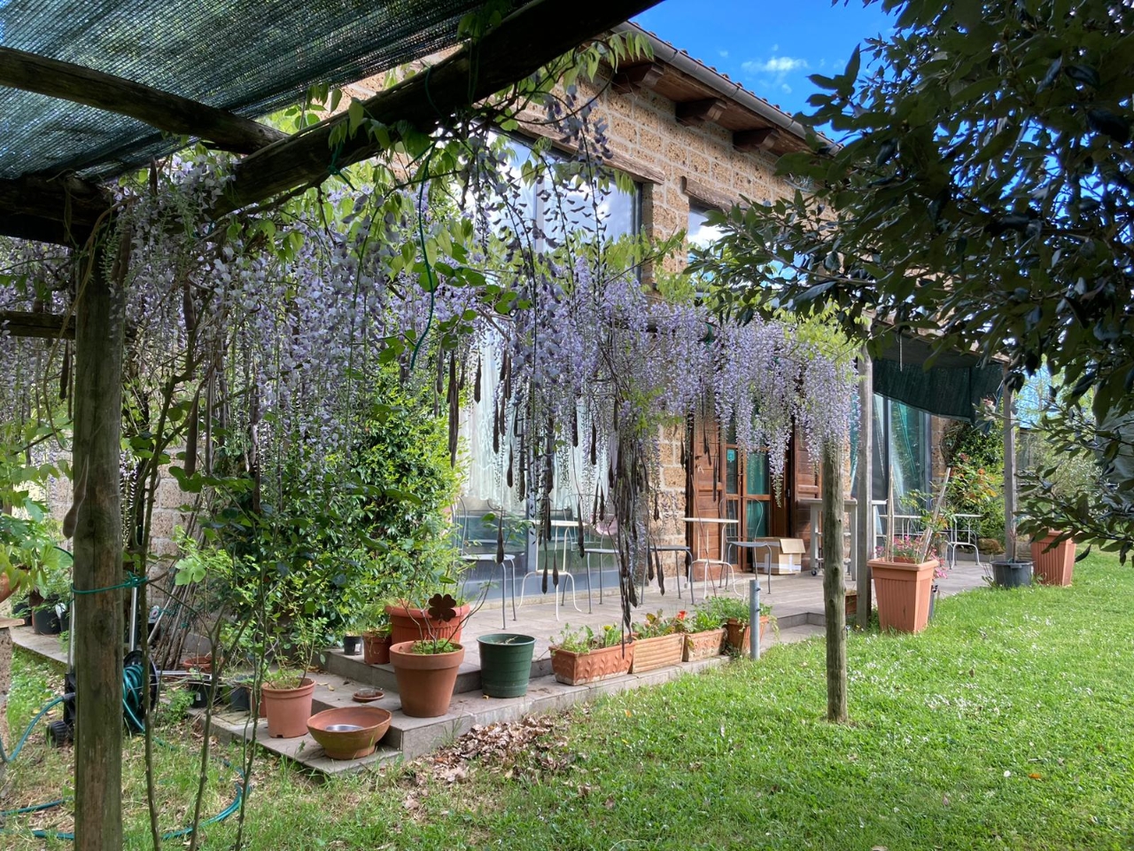 immagine annuncio 7 di 15