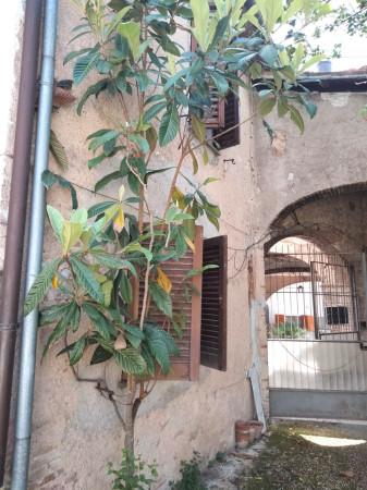 immagine annuncio 10 di 12