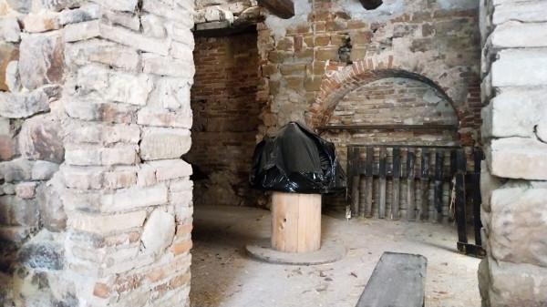 immagine annuncio 2 di 12