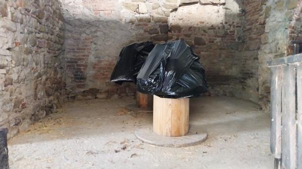 immagine annuncio 5 di 12